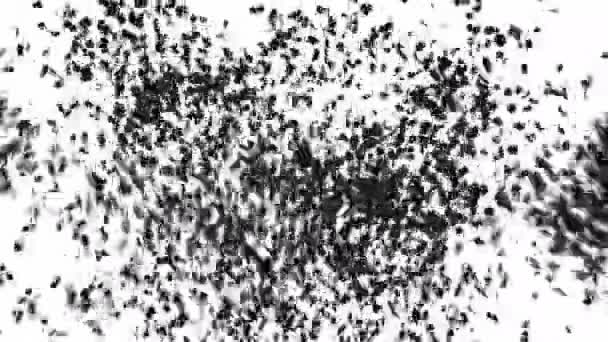 黒の金曜日紙吹雪爆発し 落ちる 緑色の画面アニメーション映像 — ストック動画