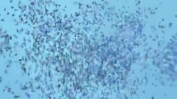 Grappige Blauw Pastel Confetti Explosie Naar Beneden Vallen Groen Scherm — Stockvideo