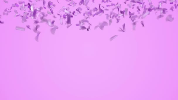 紫色滑稽的五彩纸屑飘落在柔和的紫罗兰色背景上 — 图库视频影像