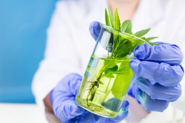 Bilim adamı bir şişesi ile bitki ve sıvı onun elinde tutan