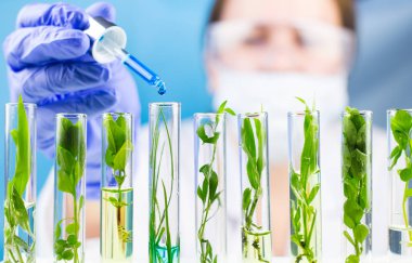 Bilim adamı test tüpleri ile Yeşil taze bitki pipet ile mavi sıvı su damlası hold.
