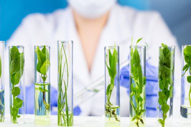Bilim adamı laboratuvarda test tüpü içinde üretim tesisi ile tutun. 