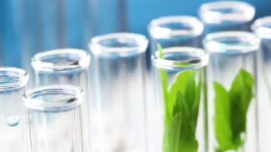 Sientist test tüpü içinde üretim tesisi ile koymak. Yakın çekim.