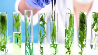 Cımbız ve test tüpleri bitkilerde içinde bir laboratuvarda bilim adamı çalışmaktadır