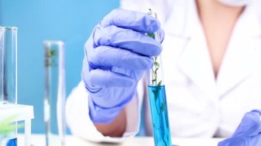 Bilim adamı laboratuvar test tüpü ve bitki içinde çalışmak. Yakın çekim.