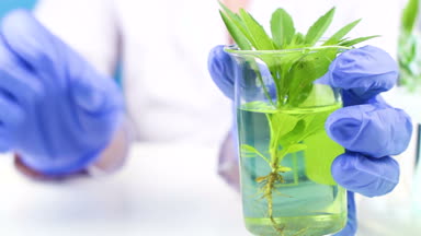 Bilim adamı laboratuvar test tüpleri fabrikasında çalışmak. Yakın çekim.