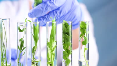Bilim adamı laboratuvar test tüpleri fabrikasında çalışmak. Yakın çekim.