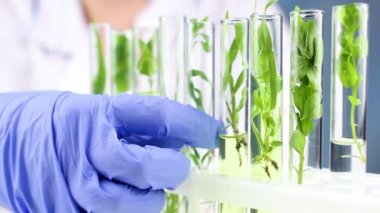 Bilim adamı laboratuvar test tüpleri fabrikasında çalışmak. Yakın çekim.