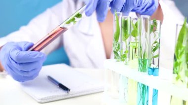 Bilim adamı laboratuvar test tüpü ve bitki içinde çalışmak. Yakın çekim.