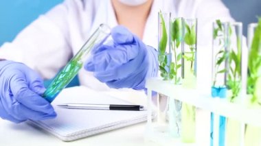 Bilim adamı laboratuvar test tüpü ve bitki içinde çalışmak. Yakın çekim.