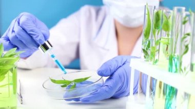 Hend pipet ve test tüpleri tesisi olan bilim adamı laboratuvar.
