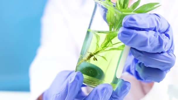 科学家拿着瓶子在他的手与绿色植物和液体内 — 图库视频影像