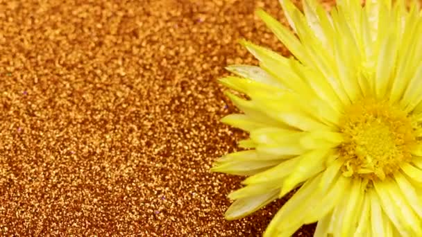 Κίτρινο Λουλούδι Περιστρεφόμενη Σχετικά Χρυσό Glitter Κοντινό Πλάνο — Αρχείο Βίντεο