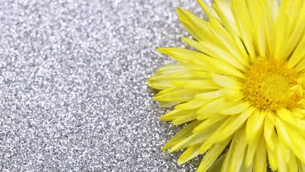 Sarı Çiçek Gümüş Parlak Yüzey Üzerinde Döner Yakın Çekim — Stok video
