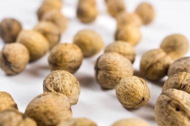 Ceviz beyaz dokulu yüzeyi. Yakın çekim.