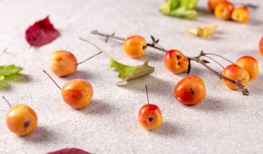 Küçük sonbahar kırmızı elma ile renk beyaz doku yüzey üzerinde bırakır. Yakın çekim.