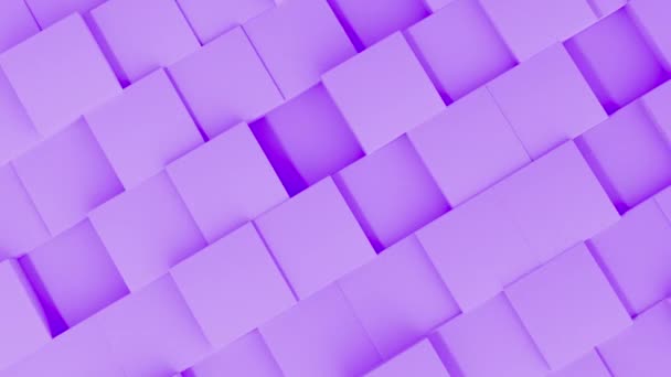 抽象的な背景白い壁の立方体のアニメーション コンピューターレンダリングは映像を形作る ループ — ストック動画
