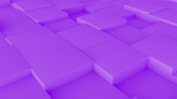 Abstrato Fundo Geométrico Cubo Roxo Imagens Loop Animação — Vídeo de Stock