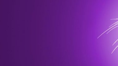 Soyut 3d çizgiler farklı renklerarka plan üzerinde uçan girdap. 4k animasyon.