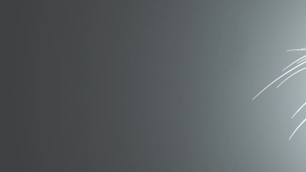 Résumé 3d lignes tourbillonnent volant sur un fond de couleurs différentes. Animation 4K .