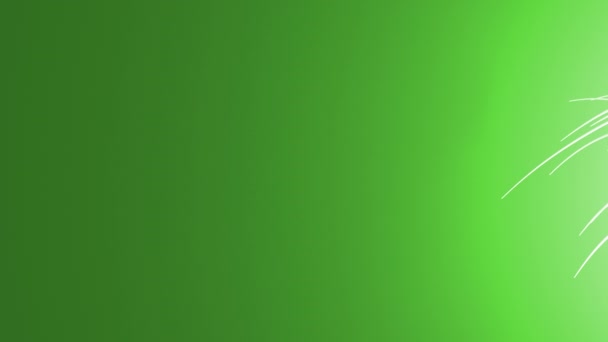 Résumé 3d lignes tourbillonnent volant sur un fond de couleurs différentes. Animation 4K .