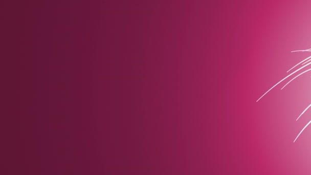 Résumé 3d lignes tourbillonnent volant sur un fond de couleurs différentes. Animation 4K .