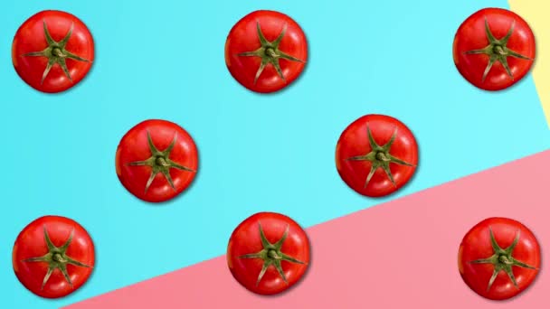 Abstract color animation of fresh tomatoes on different pastel backgrounds. 4K s — Stock Video