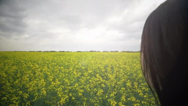 Ragazza Rimane Nel Campo Dello Stupro Tramonto Close Filmati Rallentatore — Video Stock