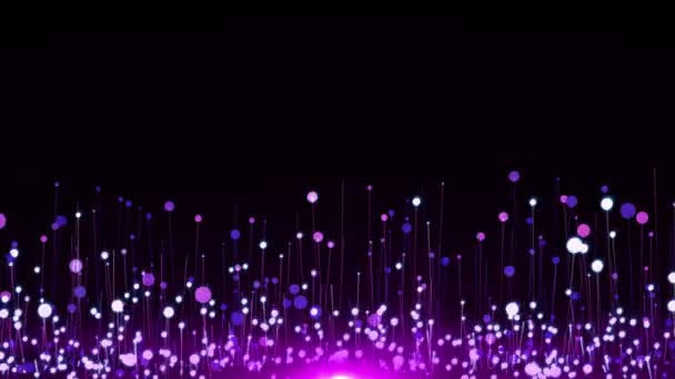 Фіолетовий Блиск Блищить Анімацією Чорному Тлі Блискучі Фонові Знімки — стокове відео