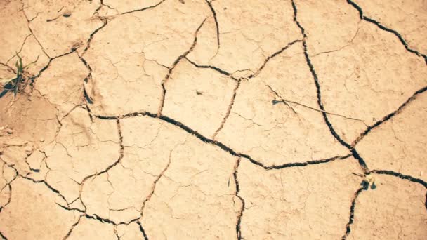 干涸的沙漠地面的特写 旱季的自然质地 4Kfootage — 图库视频影像