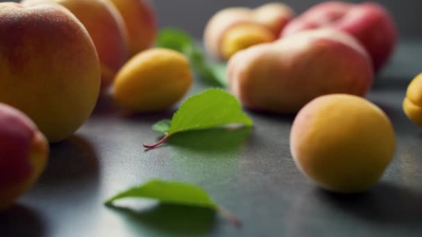 Nice Yummy Fresh Apricots Peaches Green Tree Leaves Dark Texture — Stock Video