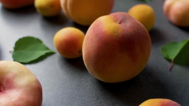 Jolies Abricots Frais Pêches Avec Des Feuilles Arbre Vert Sur — Video