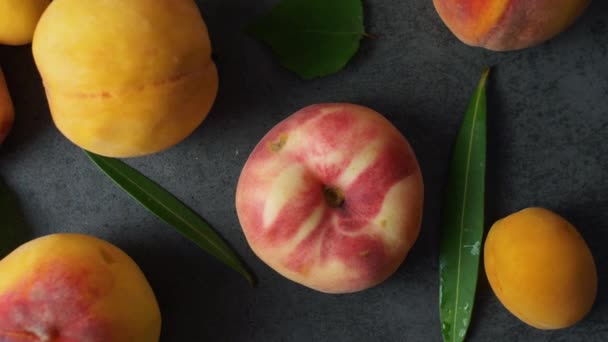 Nice Yummy Färska Aprikoser Och Persikor Med Gröna Träd Blad — Stockvideo