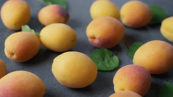 Krásné Čerstvě Nakrájené Meruňky Zelenými Listy Tmavém Povrchu Letní Ovoce — Stock video