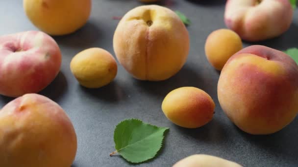 Bonitos Deliciosos Albaricoques Frescos Melocotones Con Hojas Árbol Verde Superficie — Vídeo de stock