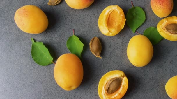 Nice Yummy Färska Skivade Aprikoser Med Gröna Träd Blad Mörk — Stockvideo