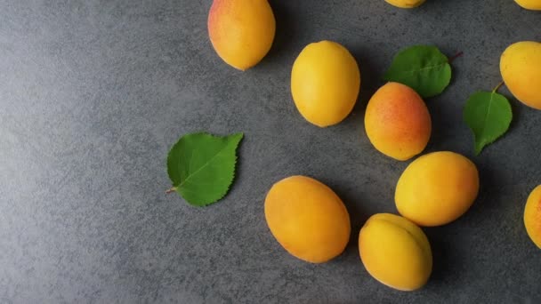 Schöne Leckere Frische Aprikosen Mit Grünen Blättern Auf Dunkler Texturoberfläche — Stockvideo