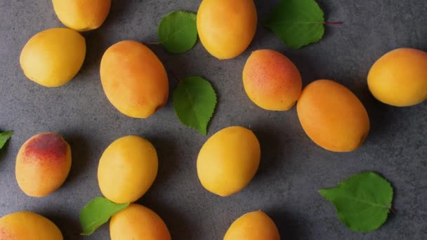 Schöne Leckere Frische Aprikosen Mit Grünen Blättern Auf Dunkler Texturoberfläche — Stockvideo