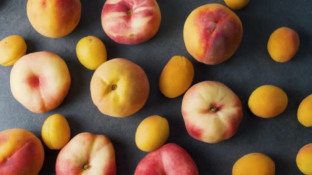 Aprikoser Och Persikor Mörk Textur Yta Närbild Färska Sommarfrukter Översta — Stockvideo