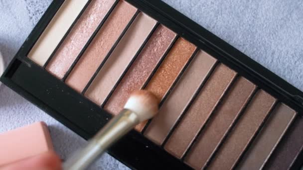 Une Palette Avec Ombres Paupières Pinceau Maquillage Ralenti Gros Plan — Video