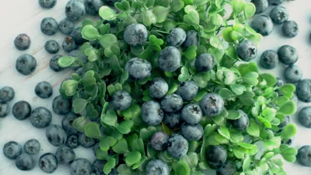 青い木の表面に回転する緑の葉と新鮮な甘いブルーベリーのクローズアップ おいしい夏の果物 — ストック動画