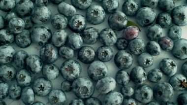 Taze nefis yaz yaban mersini kapatın. Ormandan meyvelerin en iyi görünümü. 4k görüntü.