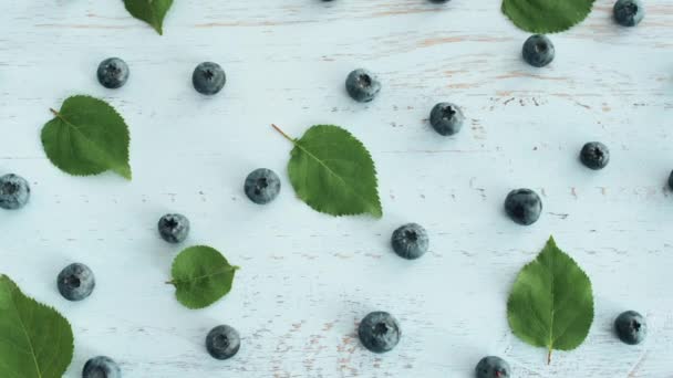 Frische Süße Blaubeere Mit Grünen Blättern Auf Der Oberfläche Der — Stockvideo