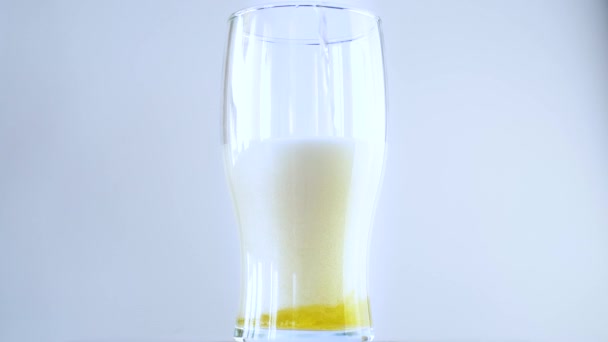 Despejar Cerveja Fresca Vidro Fechar Imagens — Vídeo de Stock