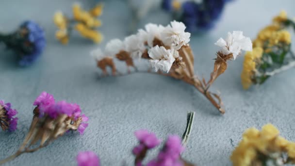 漂亮的颜色干花在纹理表面旋转 自然花卉的特写 — 图库视频影像