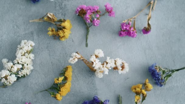 漂亮的颜色干花在纹理表面旋转 特写自然花卉的顶视图 — 图库视频影像