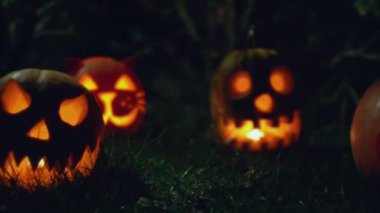 Geceleri çimenlerde korkunç cadılar bayramı balkabağı. Tatil komik kabaklar içinde mum ile kafa. 4k arka plan.