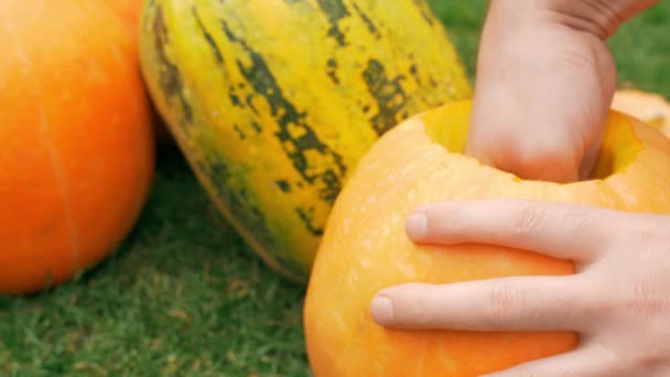 Příprava Dýně Stříhání Halloween Svátky Trávě Zahradě Zavři Pomalý Pohyb — Stock video