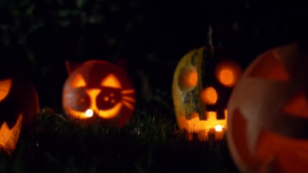 夜の草の上に怖いハロウィーンカボチャ 休日面白いカボチャは 内部のキャンドルで頭 4K背景 — ストック動画