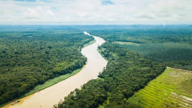 Kinabatangan nehri üzerinde hava fotoğrafçılığı ve Borneo, Malezya 'daki vahşi yaşam sığınağı. Nehir ve palmiye yağı çiftliği artı biraz orman.